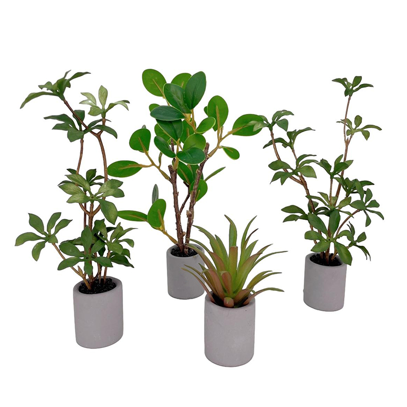 Bonsai Garden Accessories - 1:6 miniatur rumah boneka Pot tanaman
