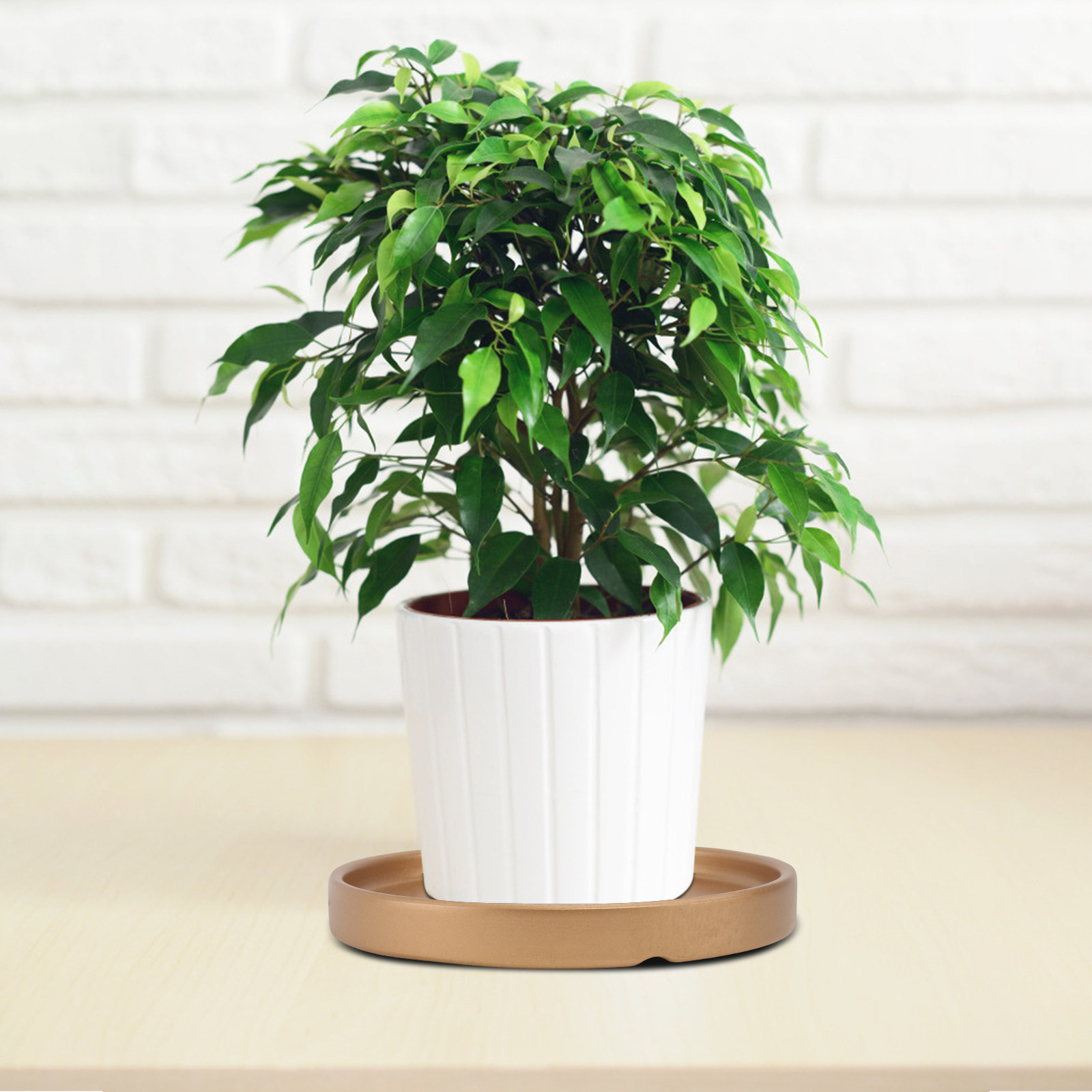 2 Buah Nampan Pot Bunga Kerami - Drip Tray Saucer ulasan dan harga