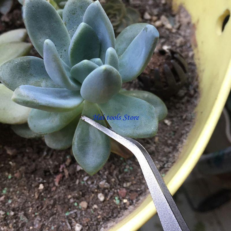 X37e 2 dalam 1 spatula penggar - Bonsai Garden Shop ulasan dan harga
