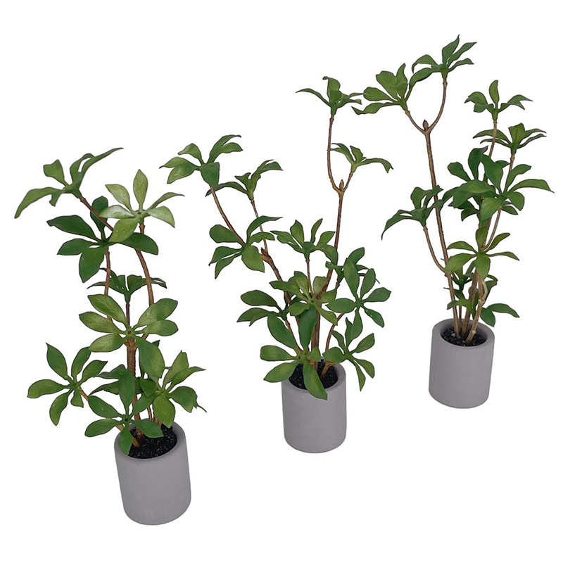 1:6 miniatur rumah boneka Pot  - Bonsai Garden Accessories ulasan dan harga