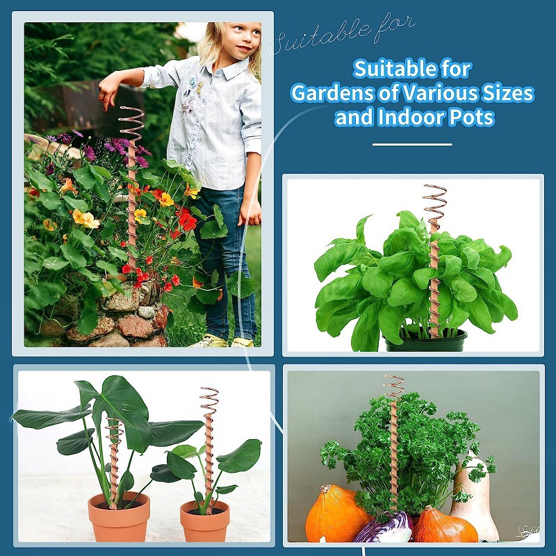 Kawat Gulung Tembaga untuk Tan - Bonsai Garden Accessories ulasan dan harga