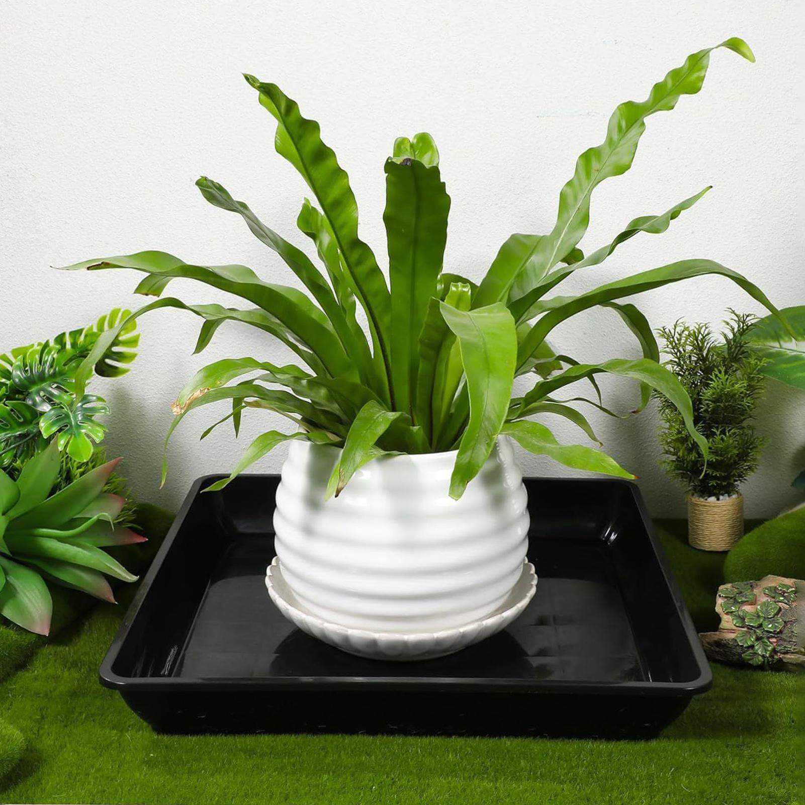 Nampan Pot Bunga 2Pcs/set Namp - Drip Tray Saucer ulasan dan harga