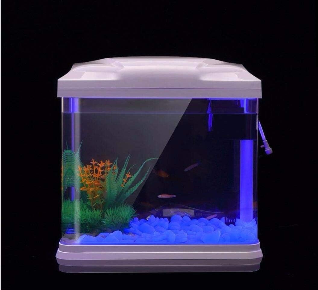 Batu Tangki Ikan Kerikil Biru  - Bonsai Garden Accessories ulasan dan harga