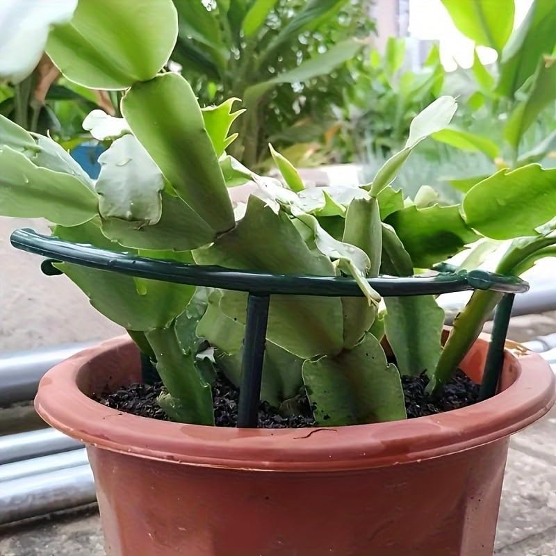 30-1 Buah Penyangga Tanaman Pl - Bonsai Garden Accessories ulasan dan harga