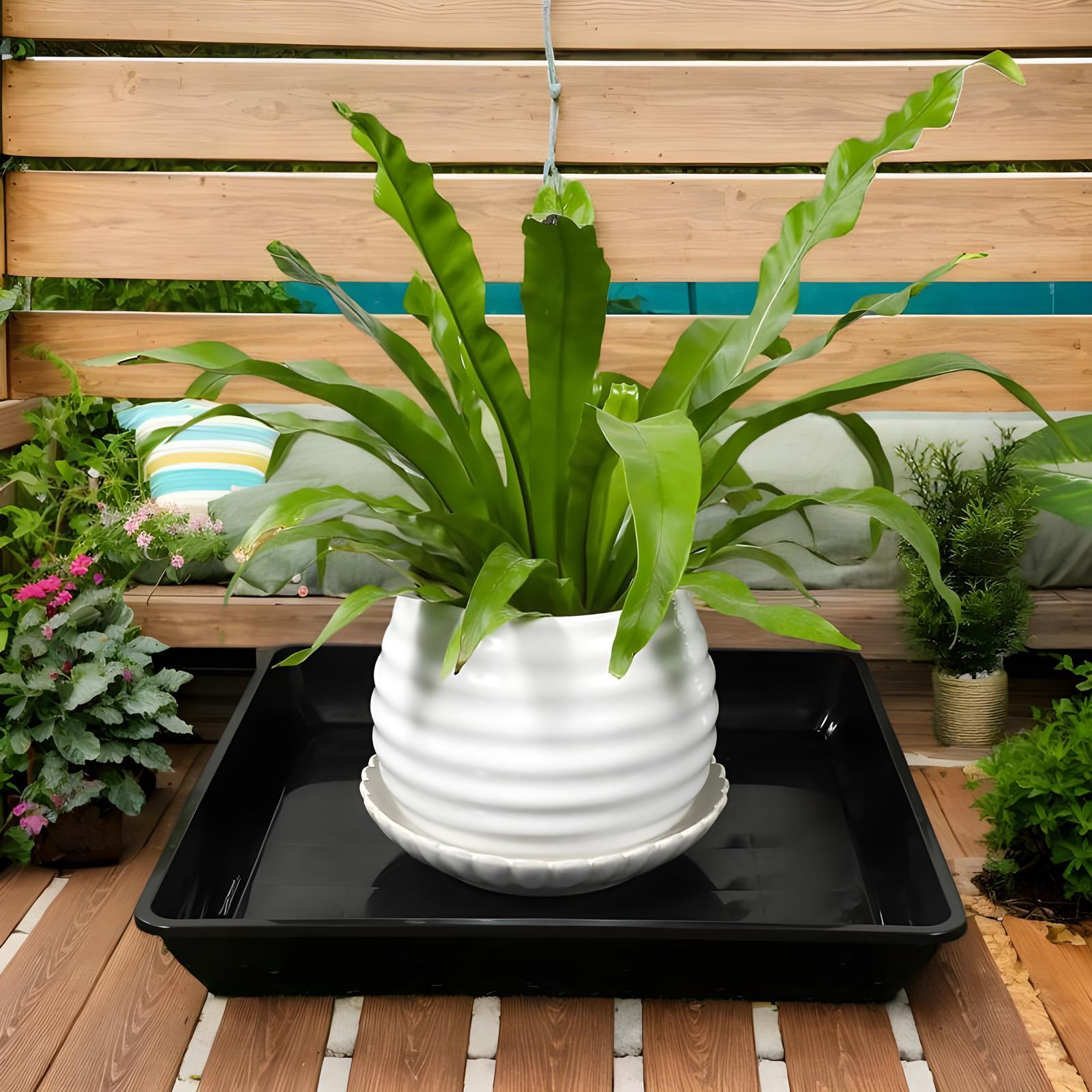 Baki Tanaman untuk Pot 2 Buah, - Drip Tray Saucer ulasan dan harga