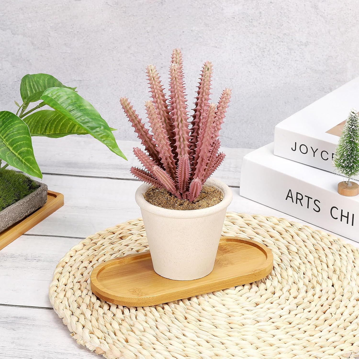 4 Buah Alas Tanaman Bambu Oval - Drip Tray Saucer ulasan dan harga
