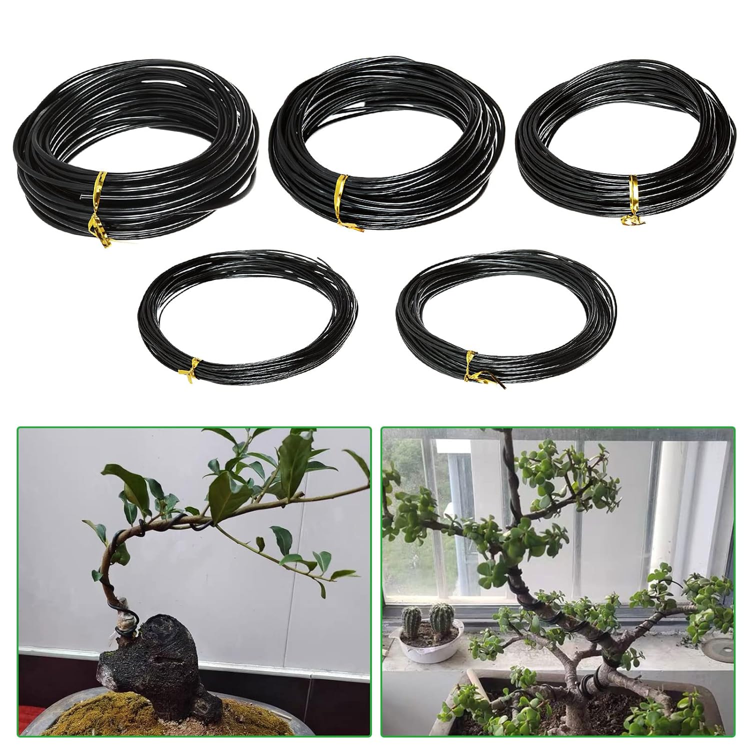 Kawat Bonsai Penyangga Tanaman - Bonsai Garden Accessories ulasan dan harga
