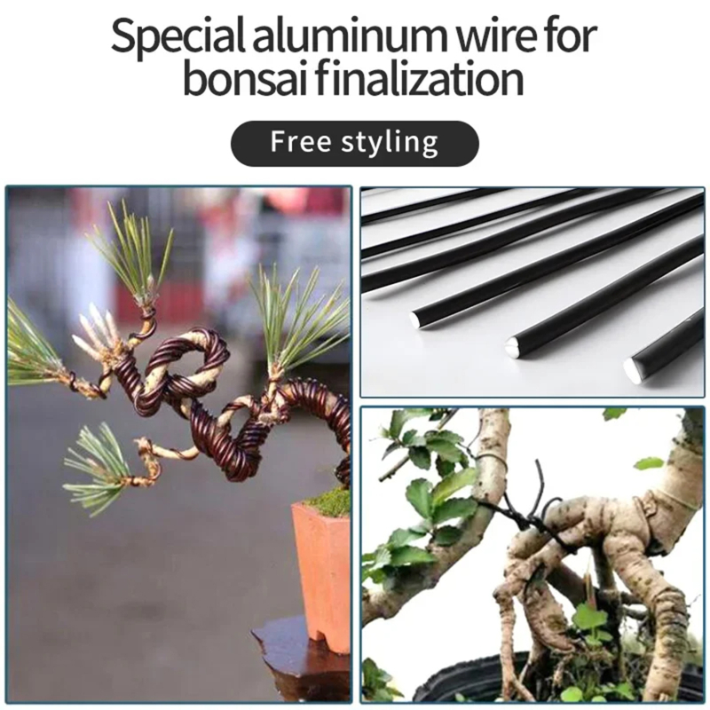 5m kawat Bonsai dukungan tanam - Bonsai Garden Accessories ulasan dan harga